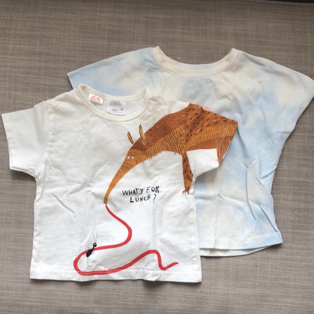 BOGO 2x Zara oversized t shirt